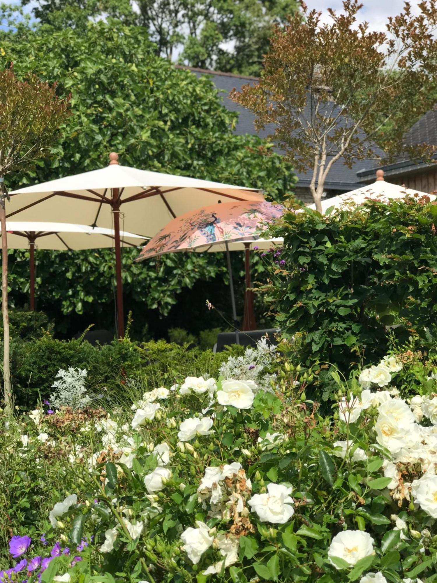 Manoir Saint-Andre,B&B De Charme Theix Esterno foto